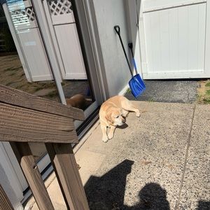 Meet your Posher, Kerrilynm